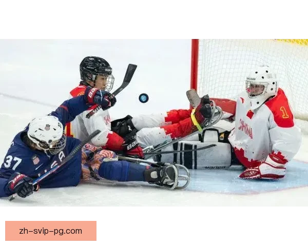 冰球公开赛：激情对决，冰上风暴绽放