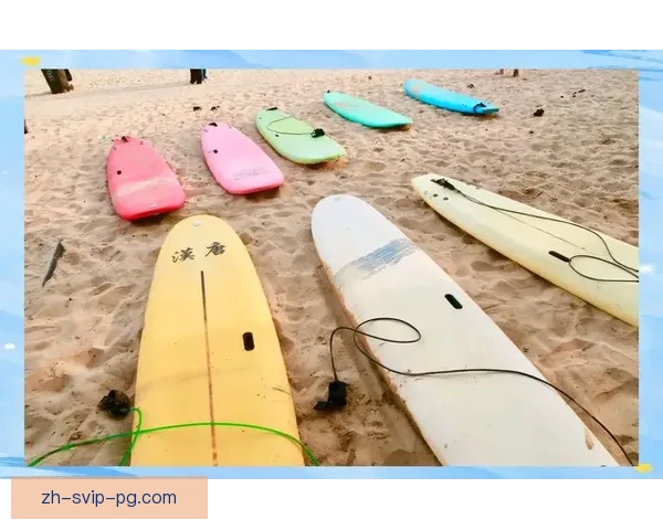 学会冲浪:跟着视频轻松上手 学会冲浪:跟着视频轻松上手