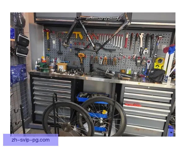 山地车入门实用指南：悉知基础选购、调整保养，轻松掌握越野骑行技巧