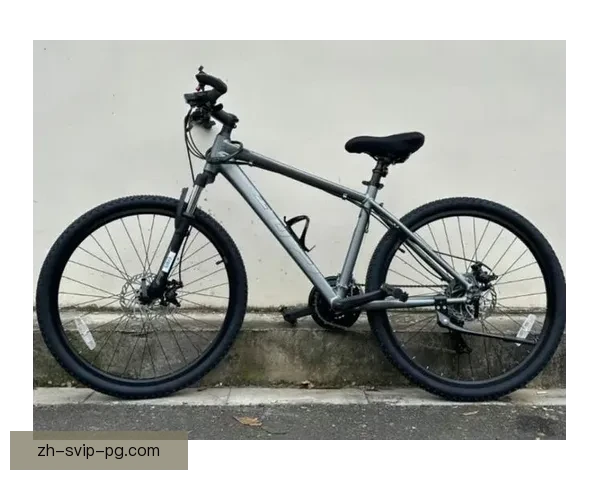 山地车投注技巧：玩转山地骑行，赢在起跑线