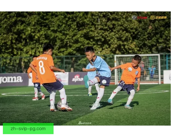 橄榄球邀请赛：燃情比拼，赛场风云