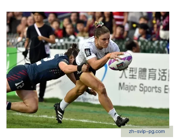 橄榄球冠军：荣耀与奋斗的传奇征程