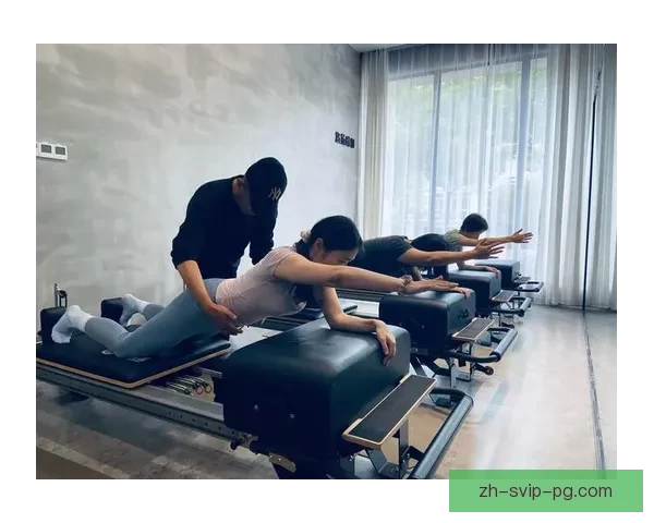 瑜伽数据分析：发现身心平衡之道