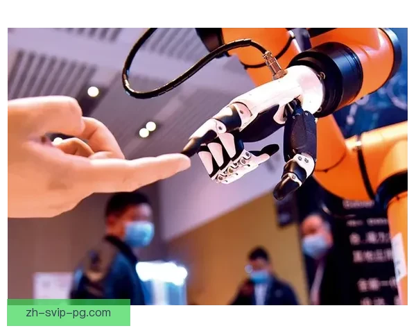 瞭望未来:全球皮划艇排名解析 瞭望未来:全球皮划艇排名解析