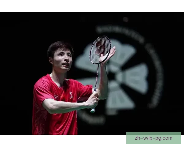 羽毛球世界排名解析：从头部选手到后备冠军，全面解读排名背后的故事