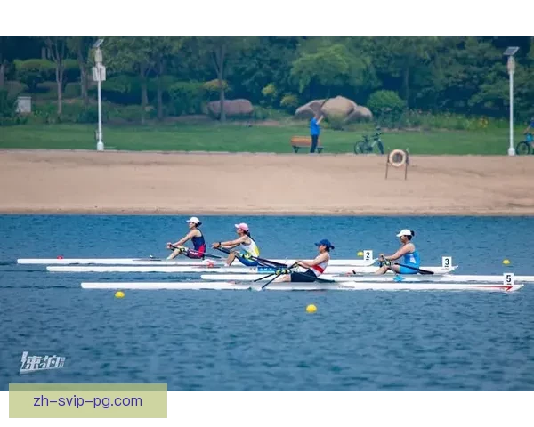 赛艇投注技巧大揭秘，助您在比赛中获得更多收益