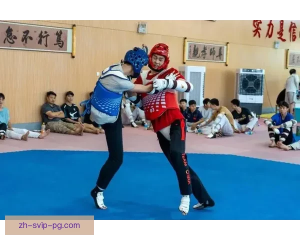 跆拳道冠军的征程：无畏与荣耀