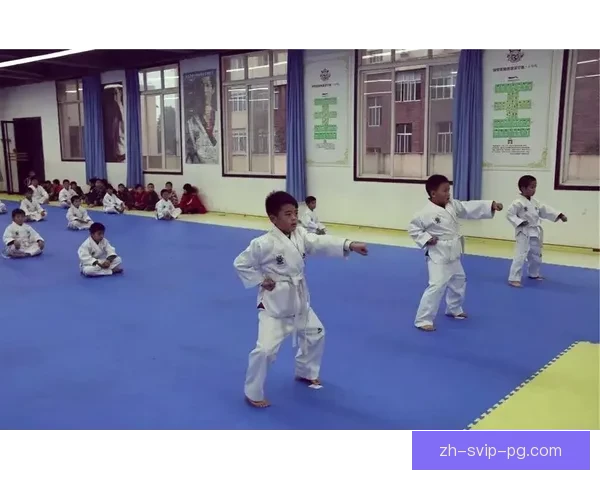 跆拳道的起源及发展历史回顾