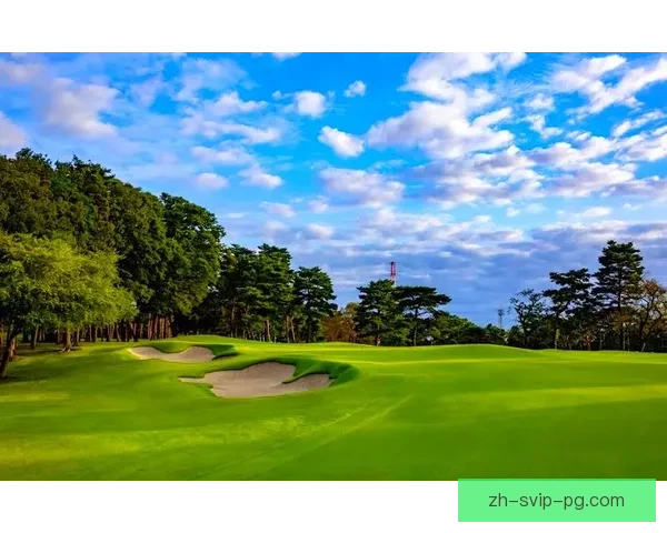 高尔夫世界纪录盘点：挑战极限，见证传奇